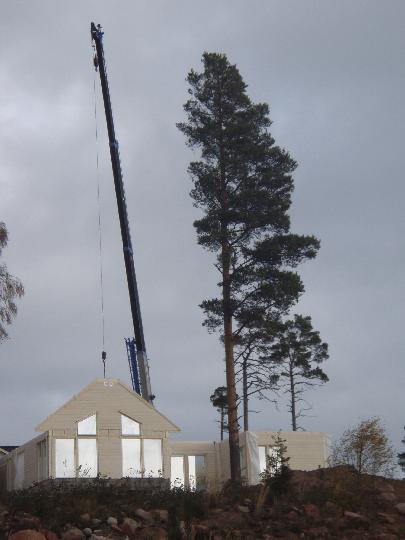 stommontering paborjats fasad mot vaster 43115, tomt 3.JPG - Stommontering påbörjats, fasad mot väster.